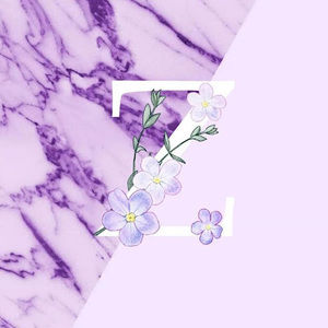 Meet your Posher, Zeidylee